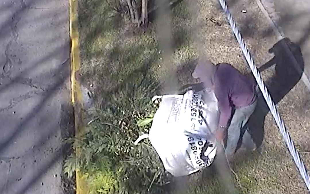 “El Gran Hermano varelense”: El  municipio monitorea el  arrojo de basura en la vía pública y aplica severas multas