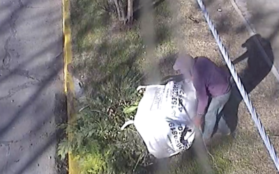 “El Gran Hermano varelense”: El  municipio monitorea el  arrojo de basura en la vía pública y aplica severas multas