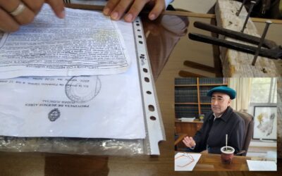 Violencia de género: Claves desde la Justicia para la prevención