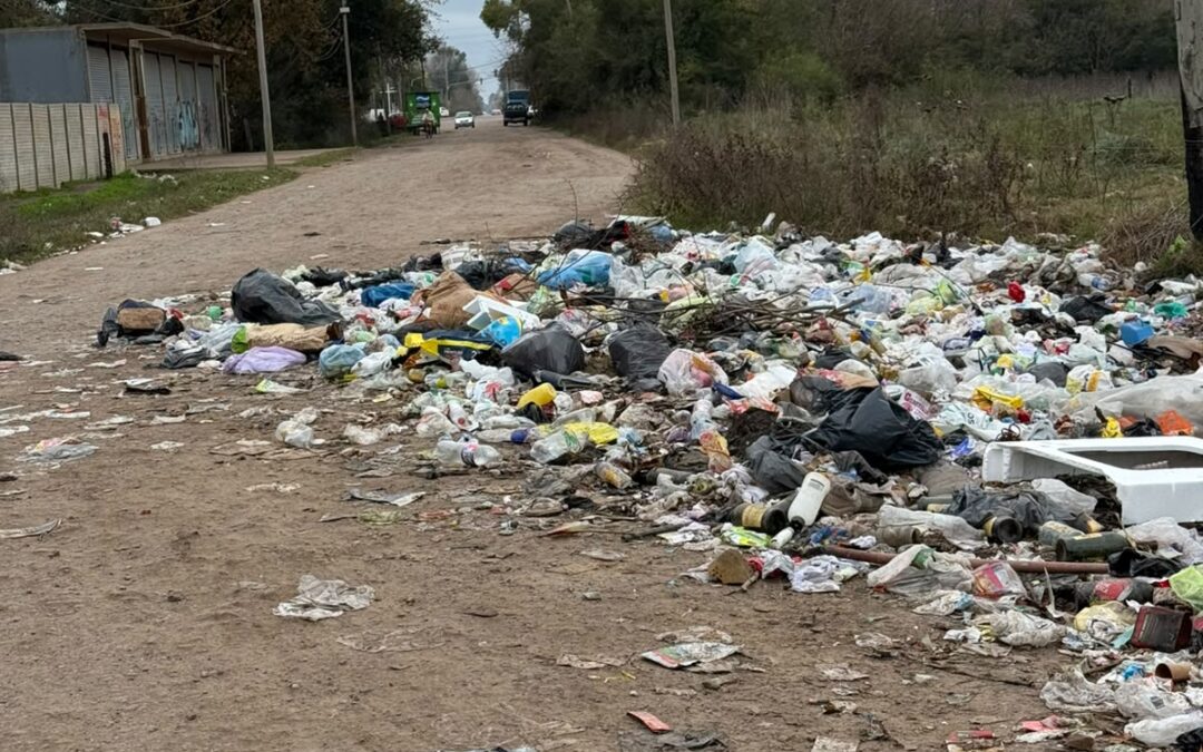 FOTO DEL DIA