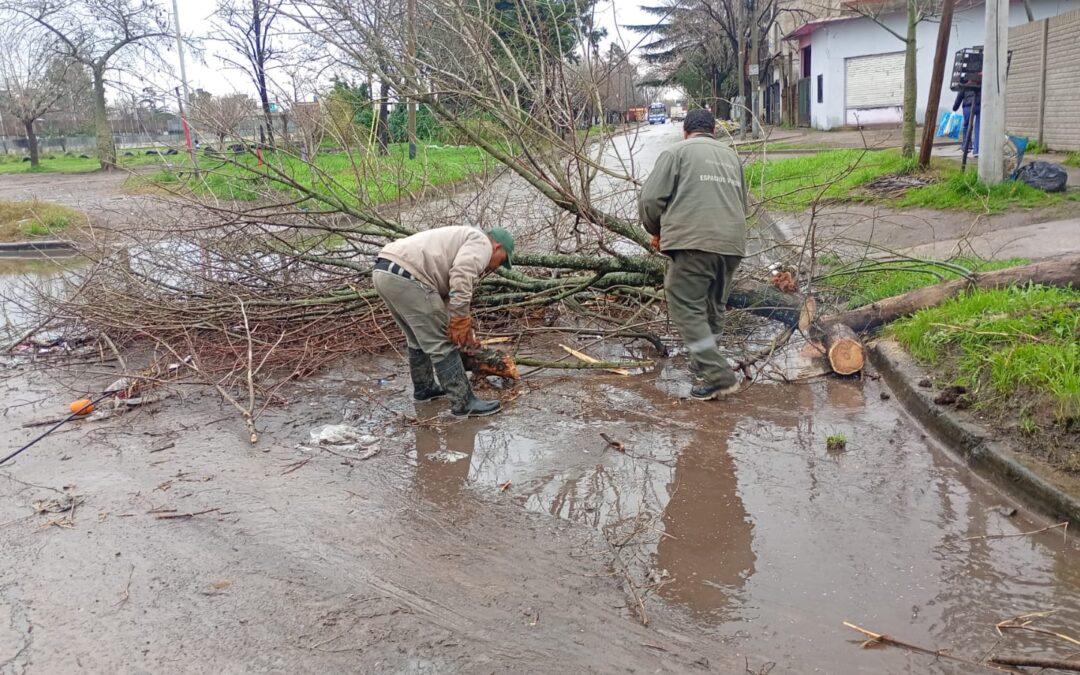 Temporal del sábado: No hubo evacuados pero más de  2000 usuarios se vieron afectados por cortes de Edesur