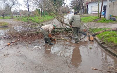 Temporal del sábado: No hubo evacuados pero más de  2000 usuarios se vieron afectados por cortes de Edesur