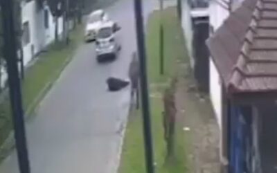 Automovilista atropelló a una jubilada y escapó en Florencio Varela