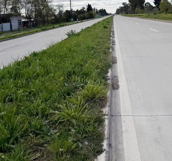 FOTO DEL DIA