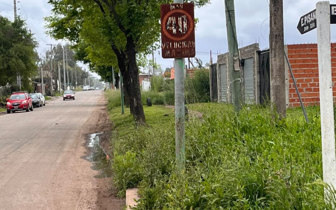 FOTO DEL DIA