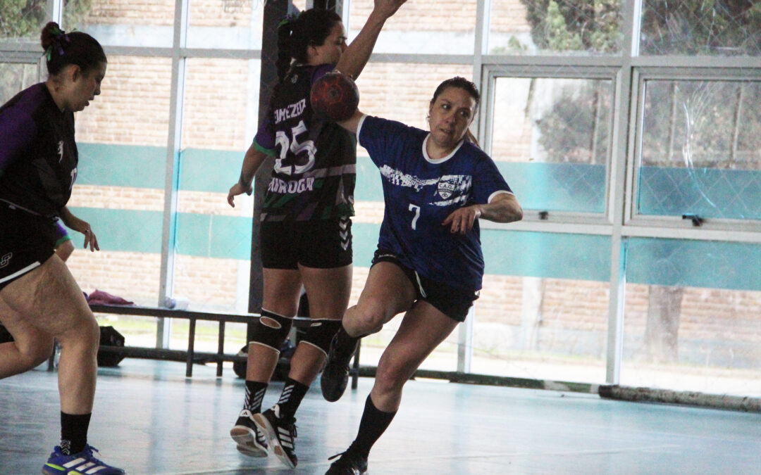 Seminario gratuito e intensivo  sobre arbitraje de handball